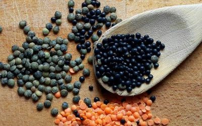 Das Leid mit den Linsen