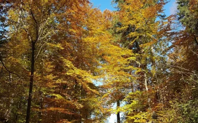 „Die Richtung stimmt“