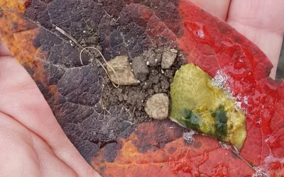 All in one – all in all