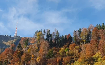 Zu Fuß über die Alpen