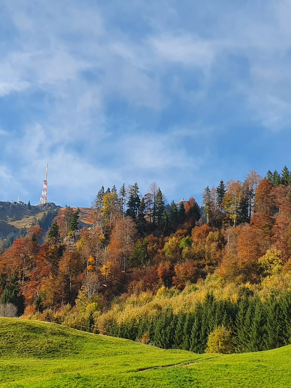 Zu Fuß über die Alpen