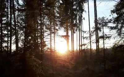 Gesundheit, Kraft und Frieden kommen von innen