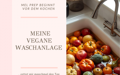 Vegane Waschanlage – warum Vorbereitung und Meal Prep so wichtig sind